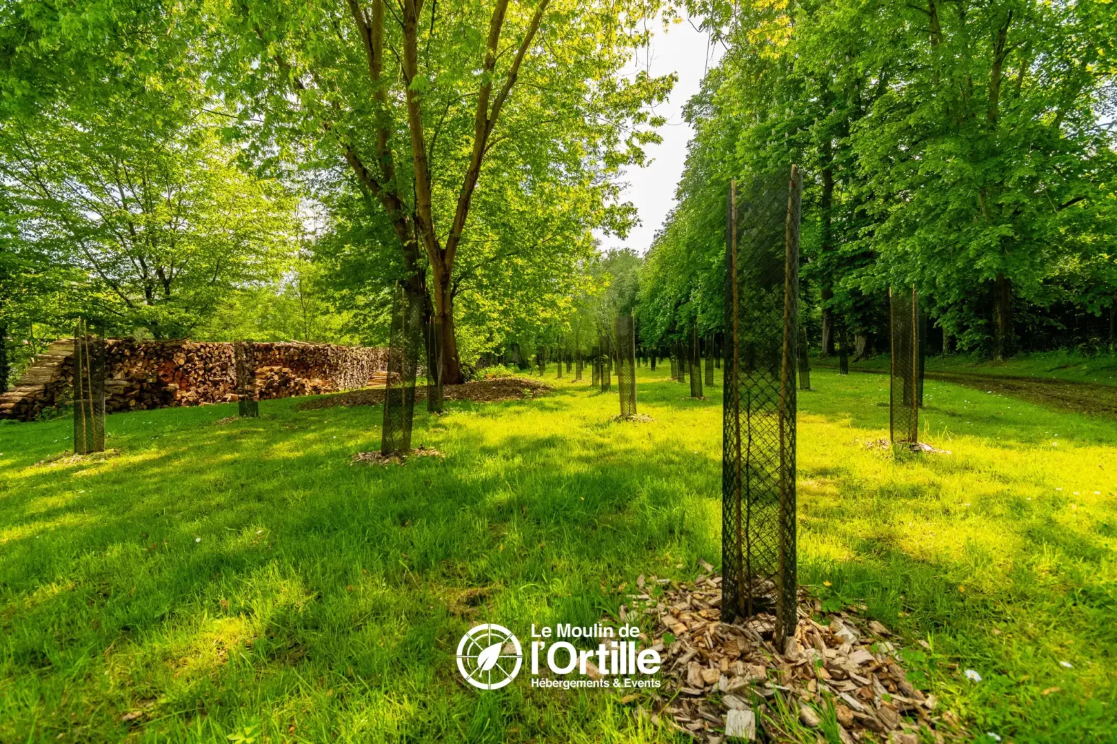 reservation hebergement insolite domaine foret compiegne oise booking moulin ortille photo (28)