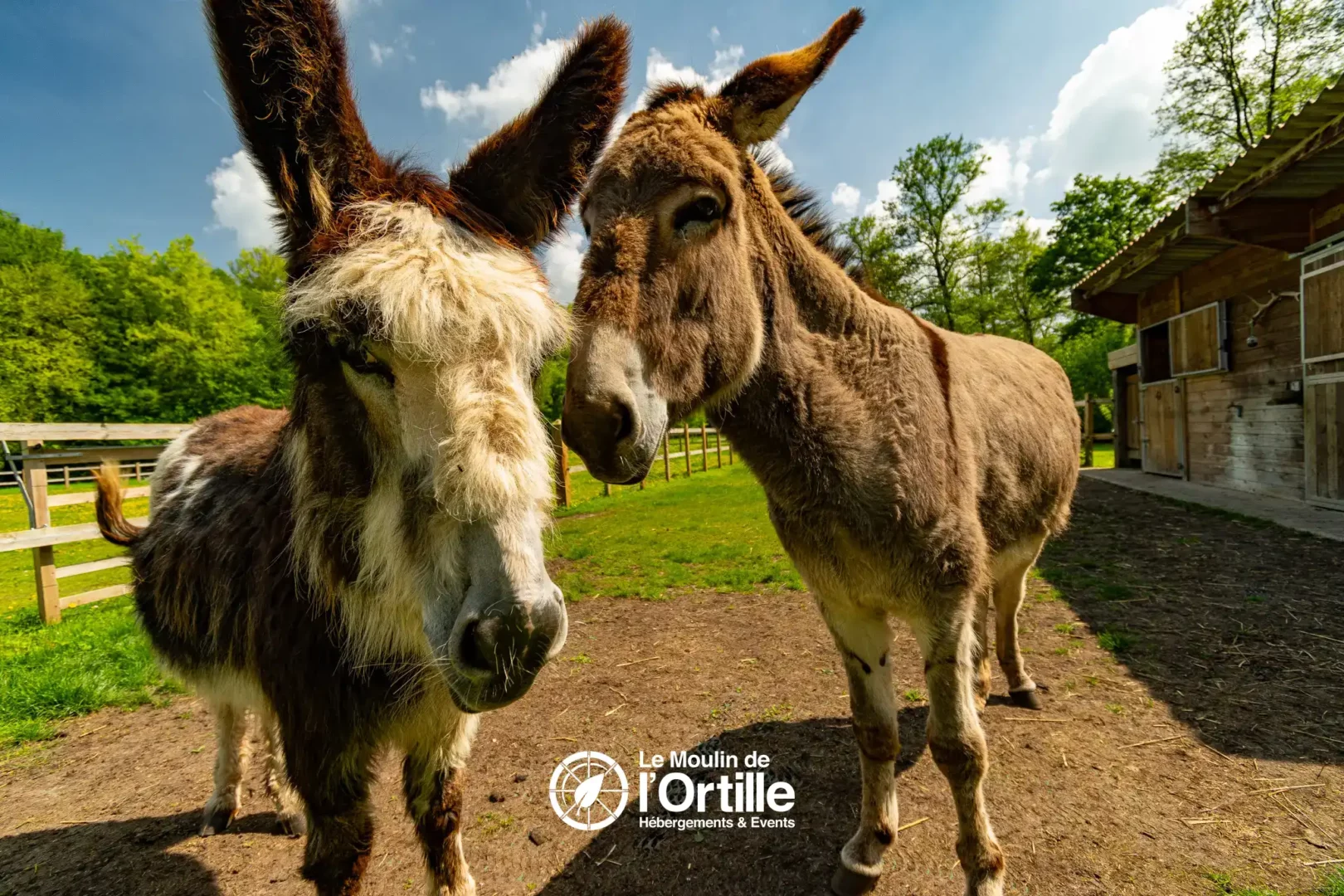 reservation hebergement insolite domaine foret compiegne oise booking moulin ortille photo (33)