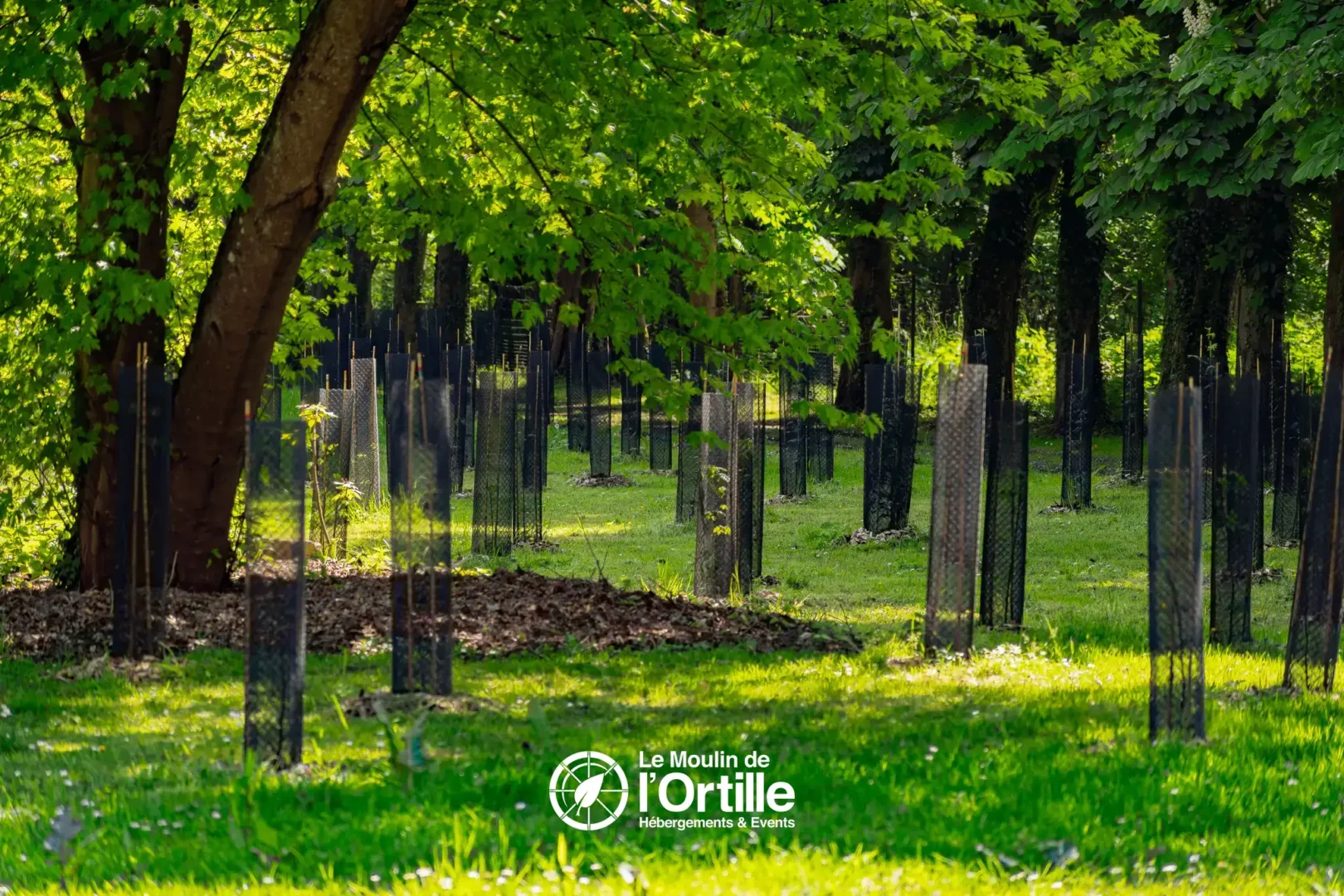 reservation hebergement insolite domaine foret compiegne oise booking moulin ortille photo (47)